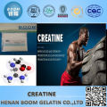 creatine raw powder